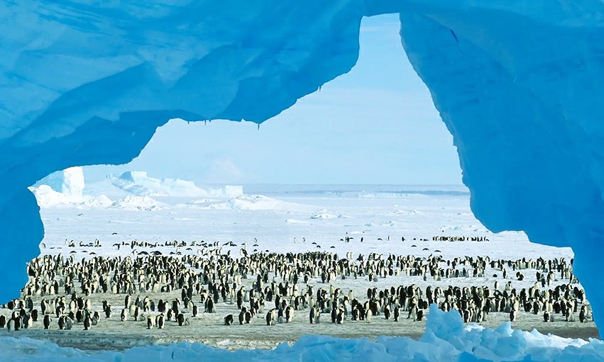 2024《南极洲科考》15日 游学营